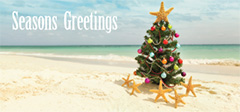Double DL Christmas Card Design - Beach